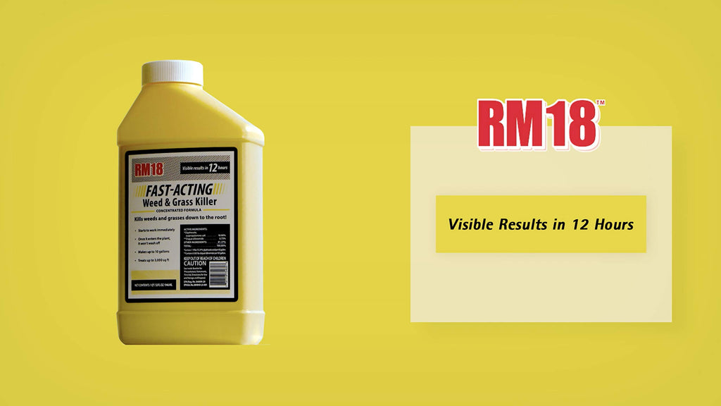 Fast-Acting Weed & Grass Killer Herbicide Spray 1-gallon Y69012