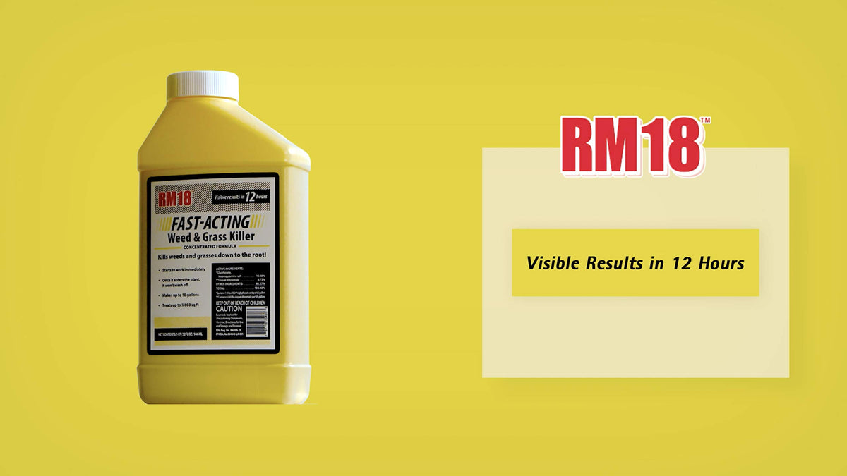 Fast-Acting Weed & Grass Killer Herbicide Spray 1-gallon Y69012