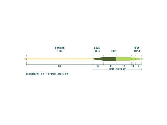 WF5F Camo Fly Line N524