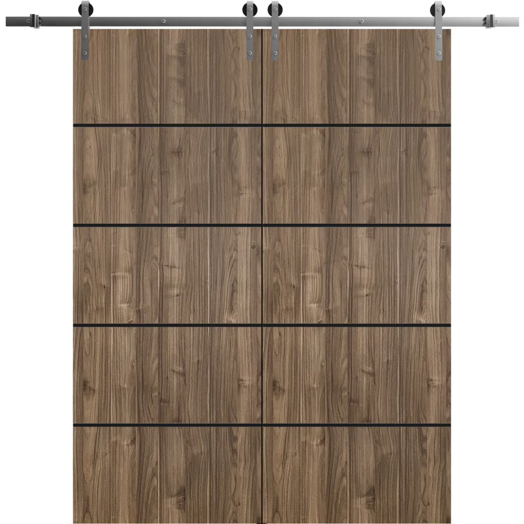 Double Barn Door 36 x 84 inches with Frosted Glass Stainless Steel Rail Hangers V9769