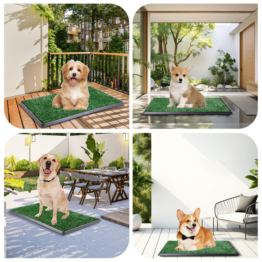 Dog Grass Pad with Tray 16x20in V11753