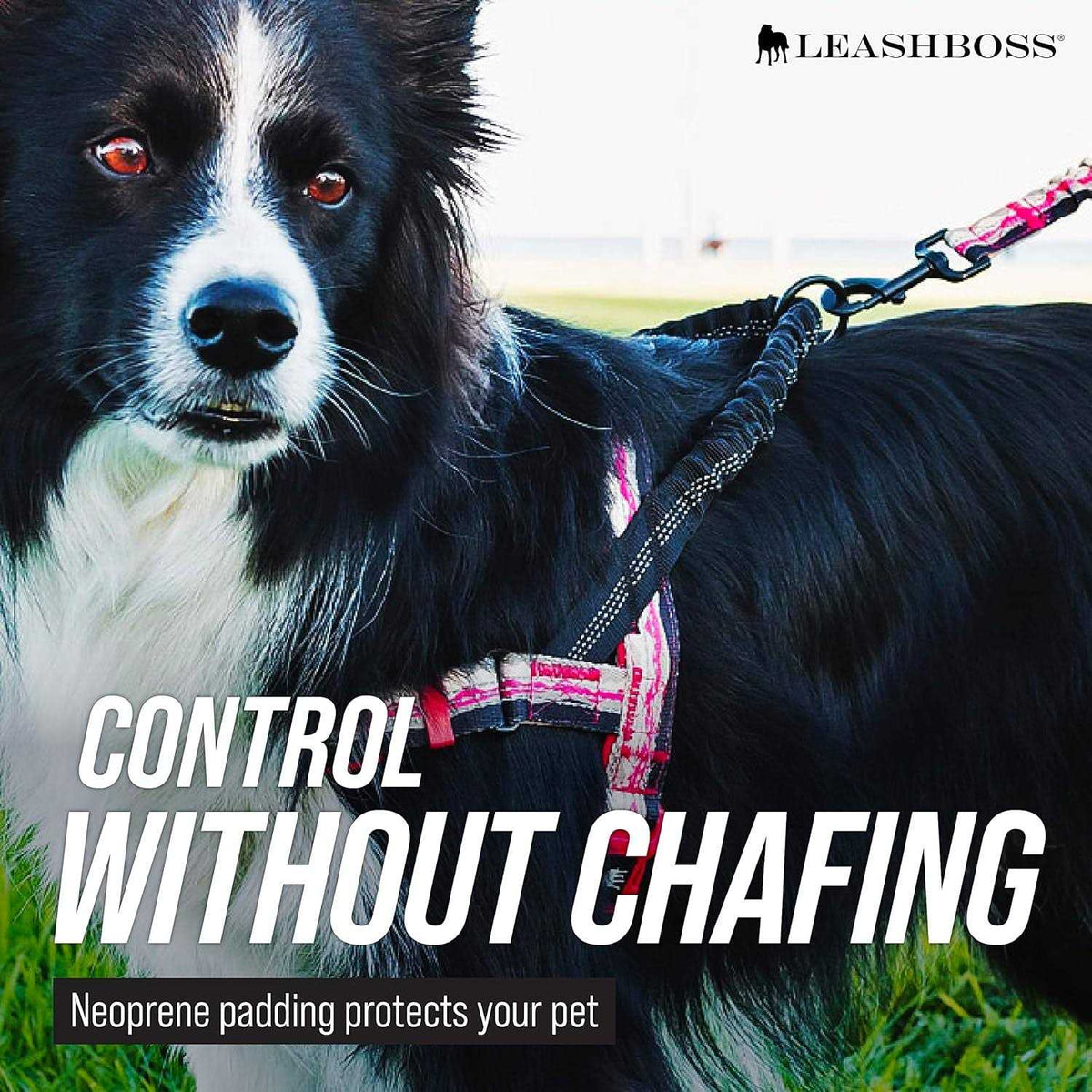 Reflective No Pull Dog Harness with Bungee Handle W36811