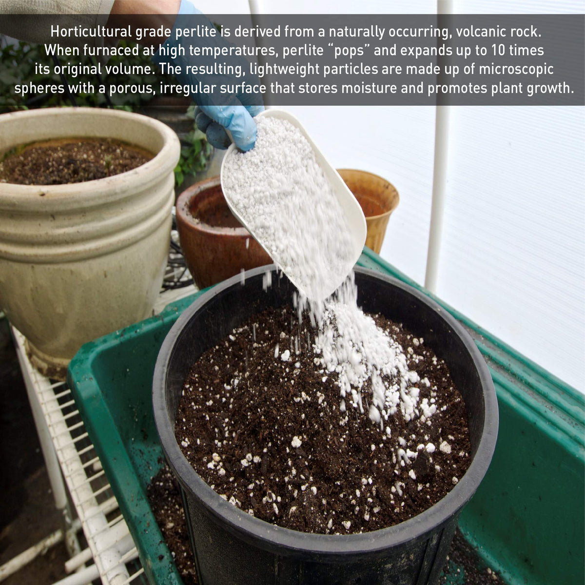 Horticultural Grade Expanded Perlite 4 Cubic Foot P424