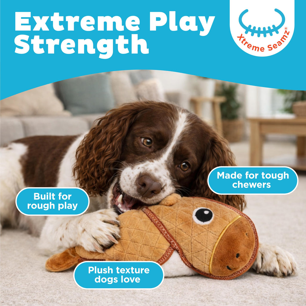 Durable Plush Dog Toy with Squeaker T7639