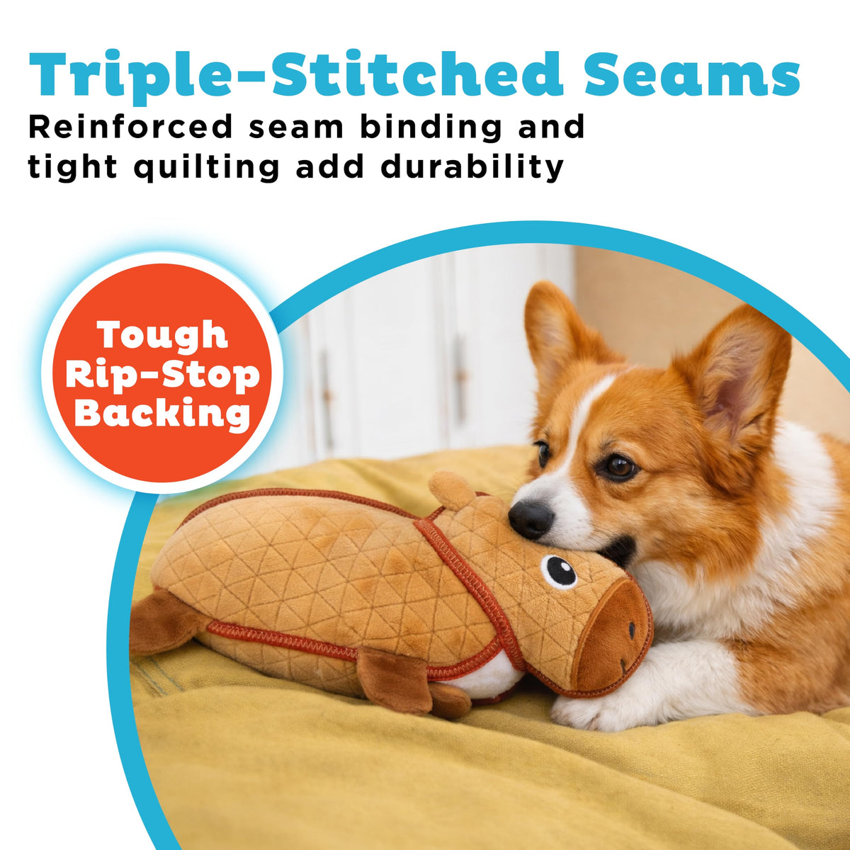 Durable Plush Dog Toy with Squeaker T7639