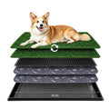 Dog Grass Pad with Tray 30"x20" N33068