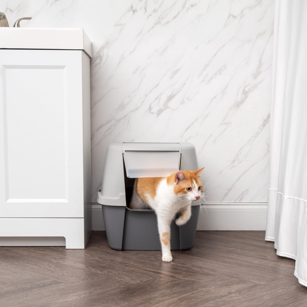Large Front Door Cat Litter Box Gray L3467