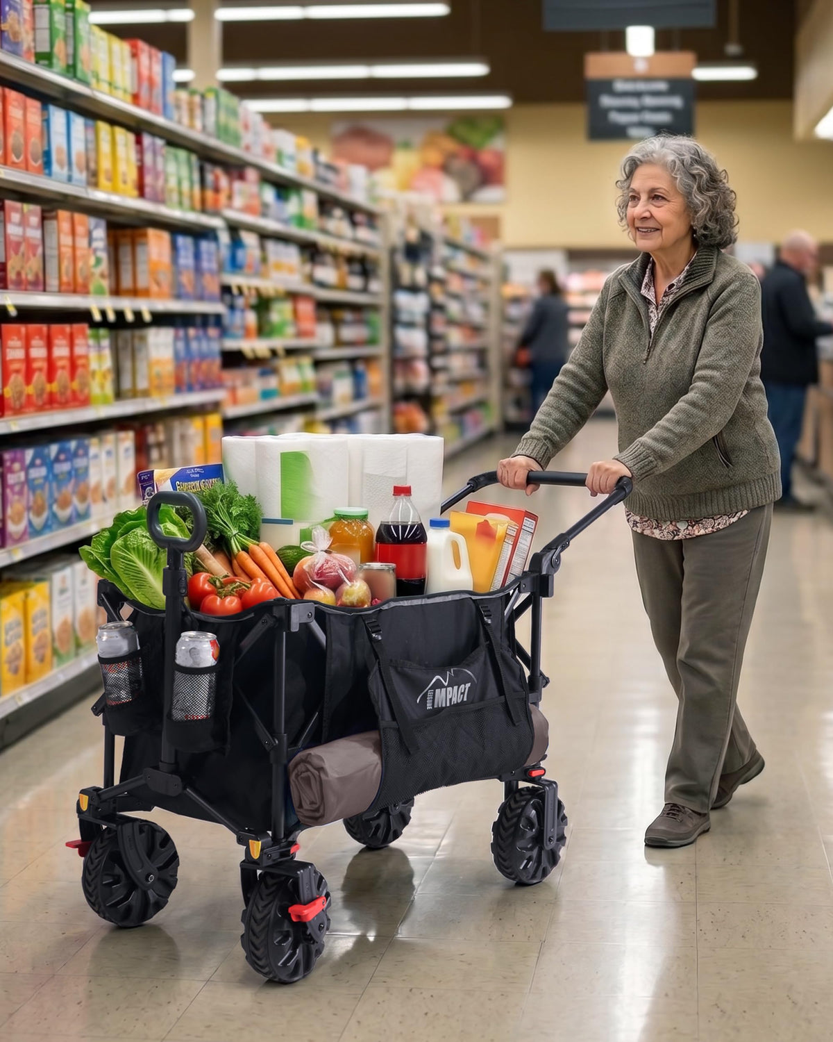 Foldable Push Wagon with Canopy I634
