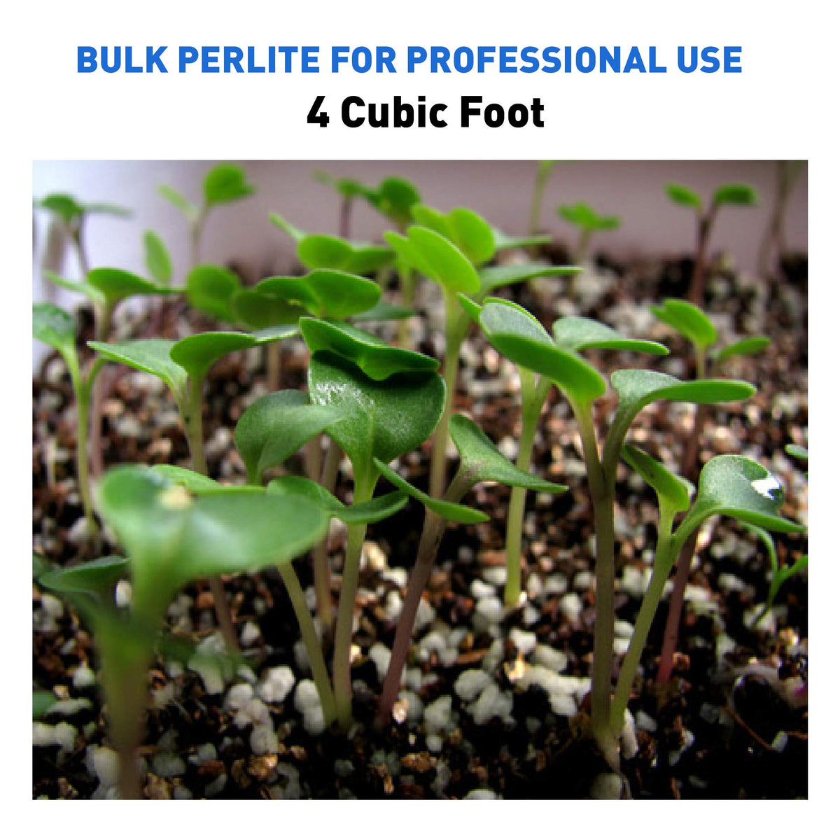 Horticultural Grade Expanded Perlite 4 Cubic Foot P424