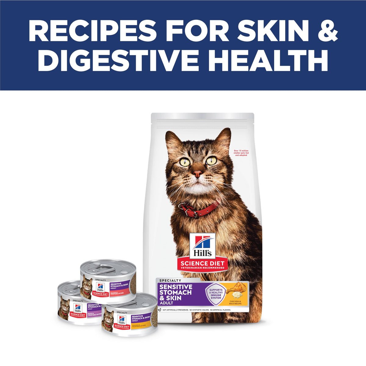 Sensitive Stomach & Skin Dry Cat Food E6443