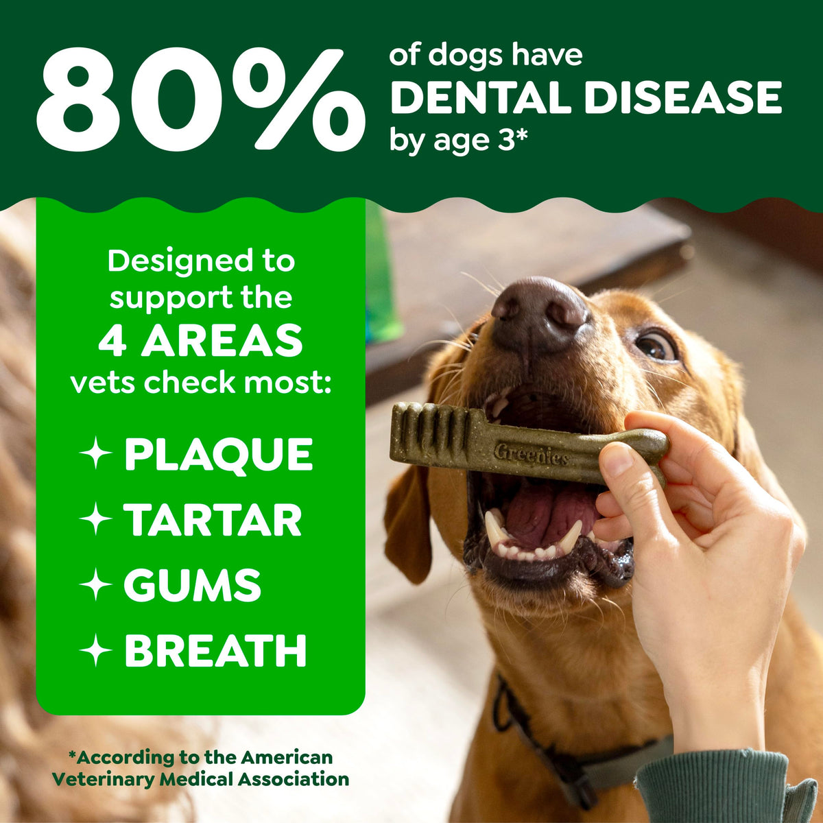 Chicken Dental Dog Treats 43 Count F515