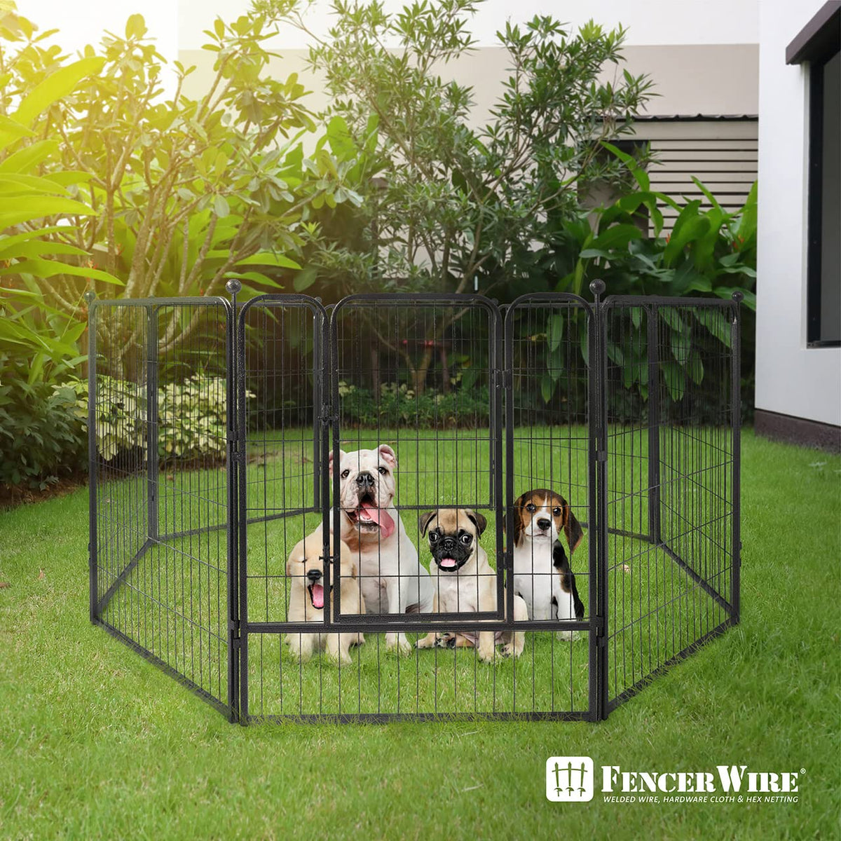Foldable Metal Pet Playpen with Gate Y1455