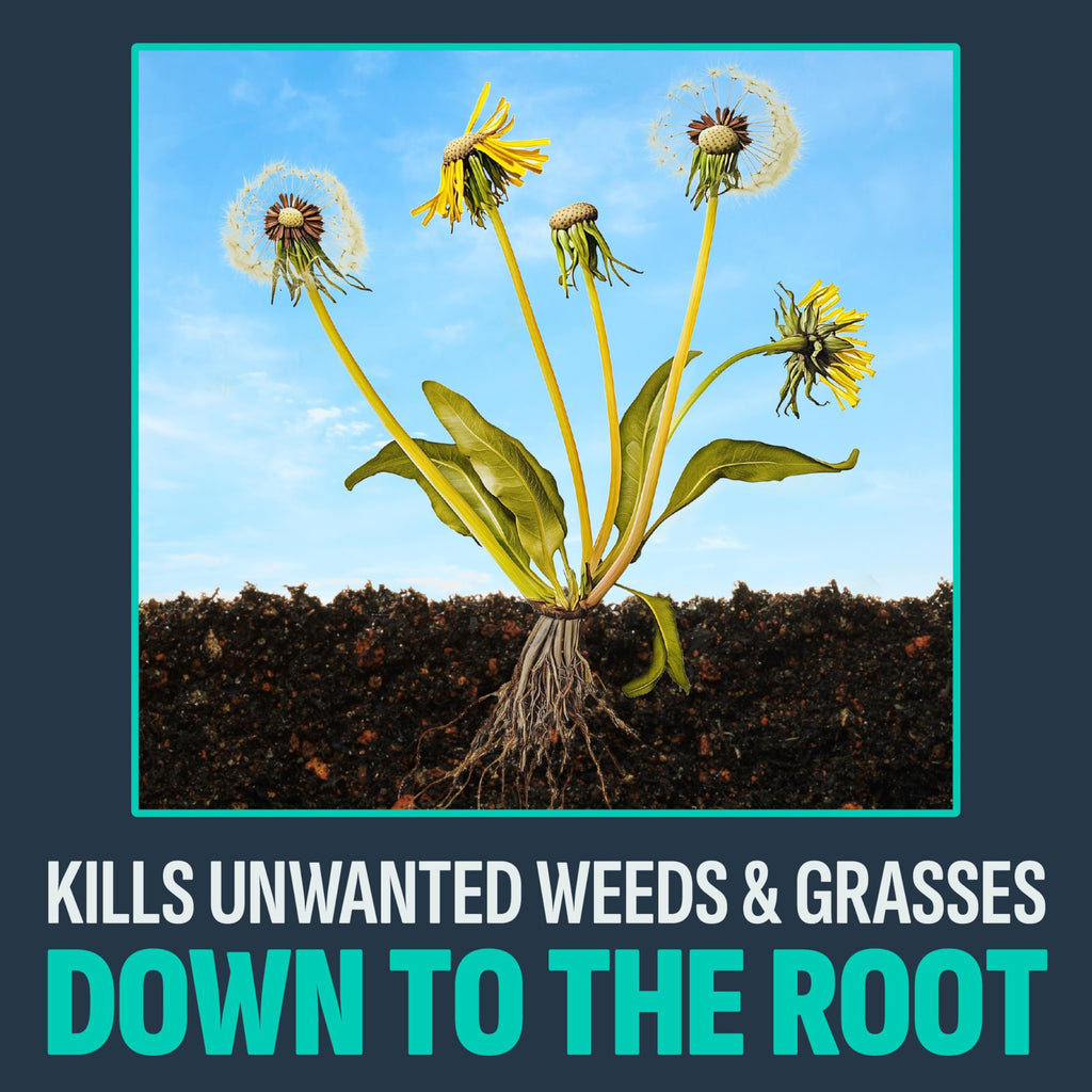 10 Lb Weed & Grass Killer Granules N502