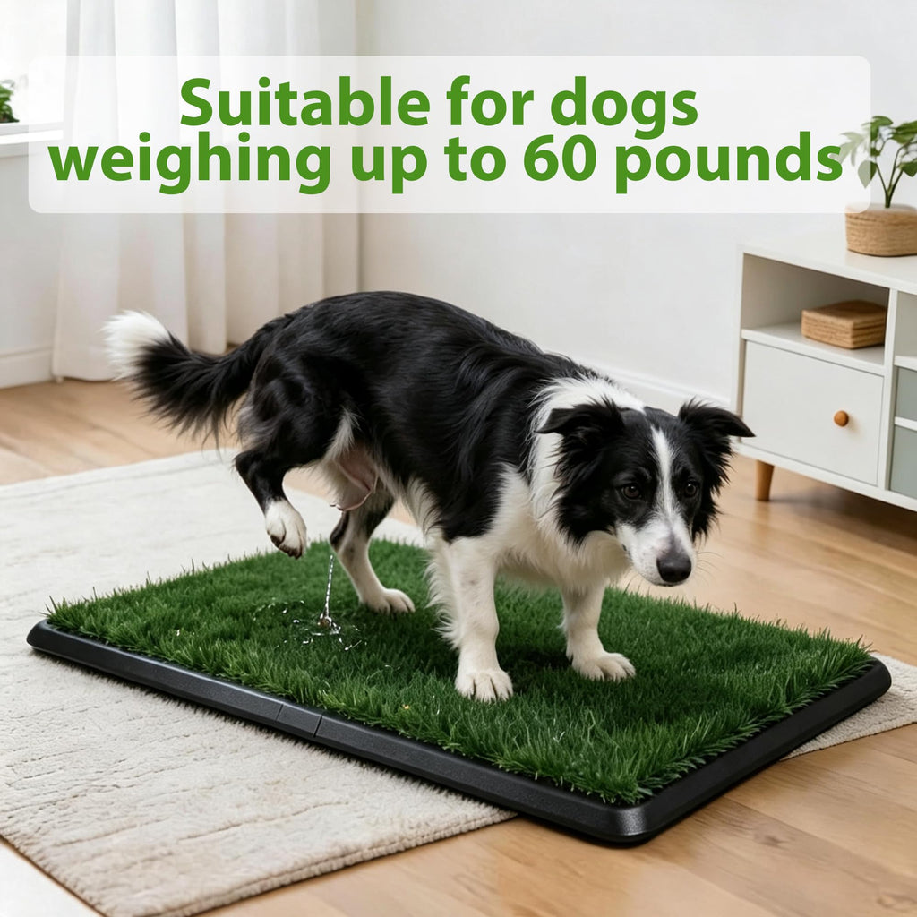 Dog Grass Pad with Tray 30"x20" N33068