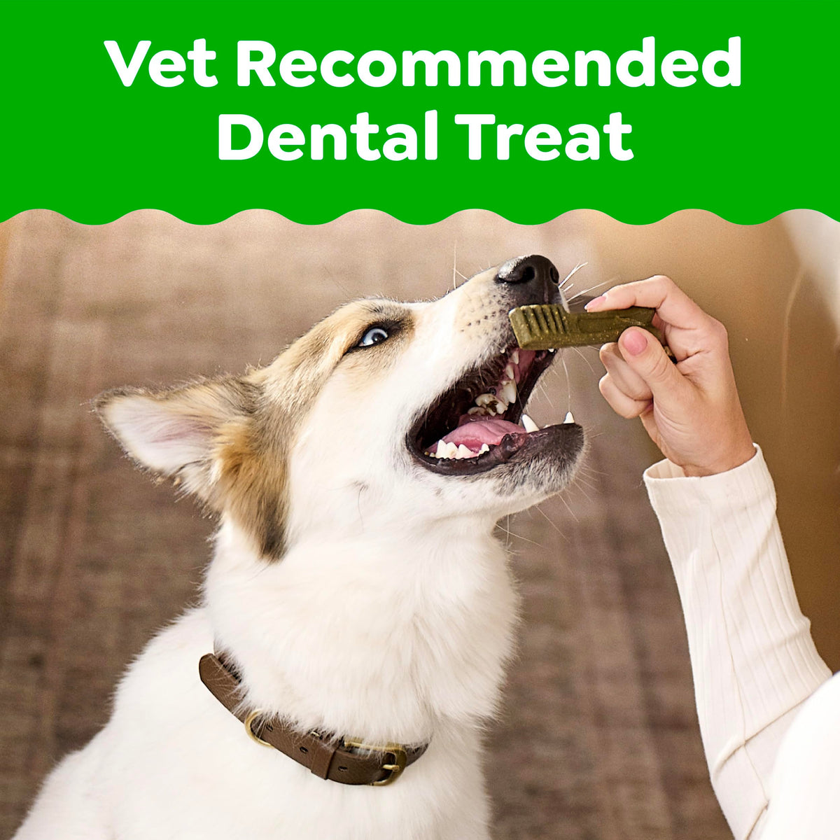 Chicken Dental Dog Treats 43 Count F515