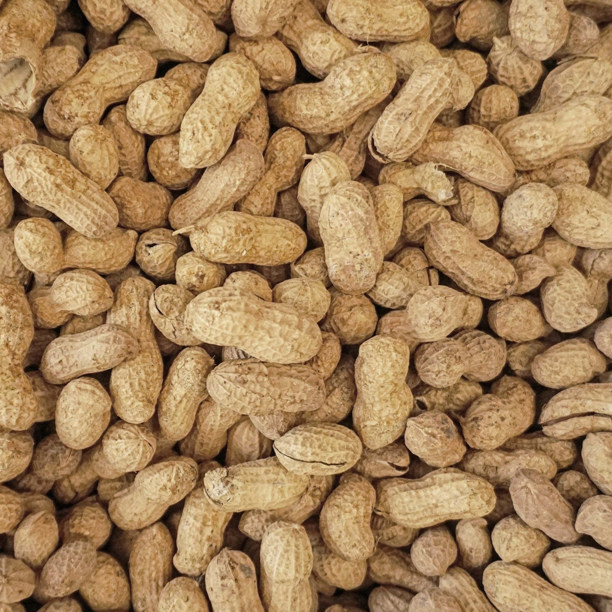 25 lb Animal Peanuts G4103