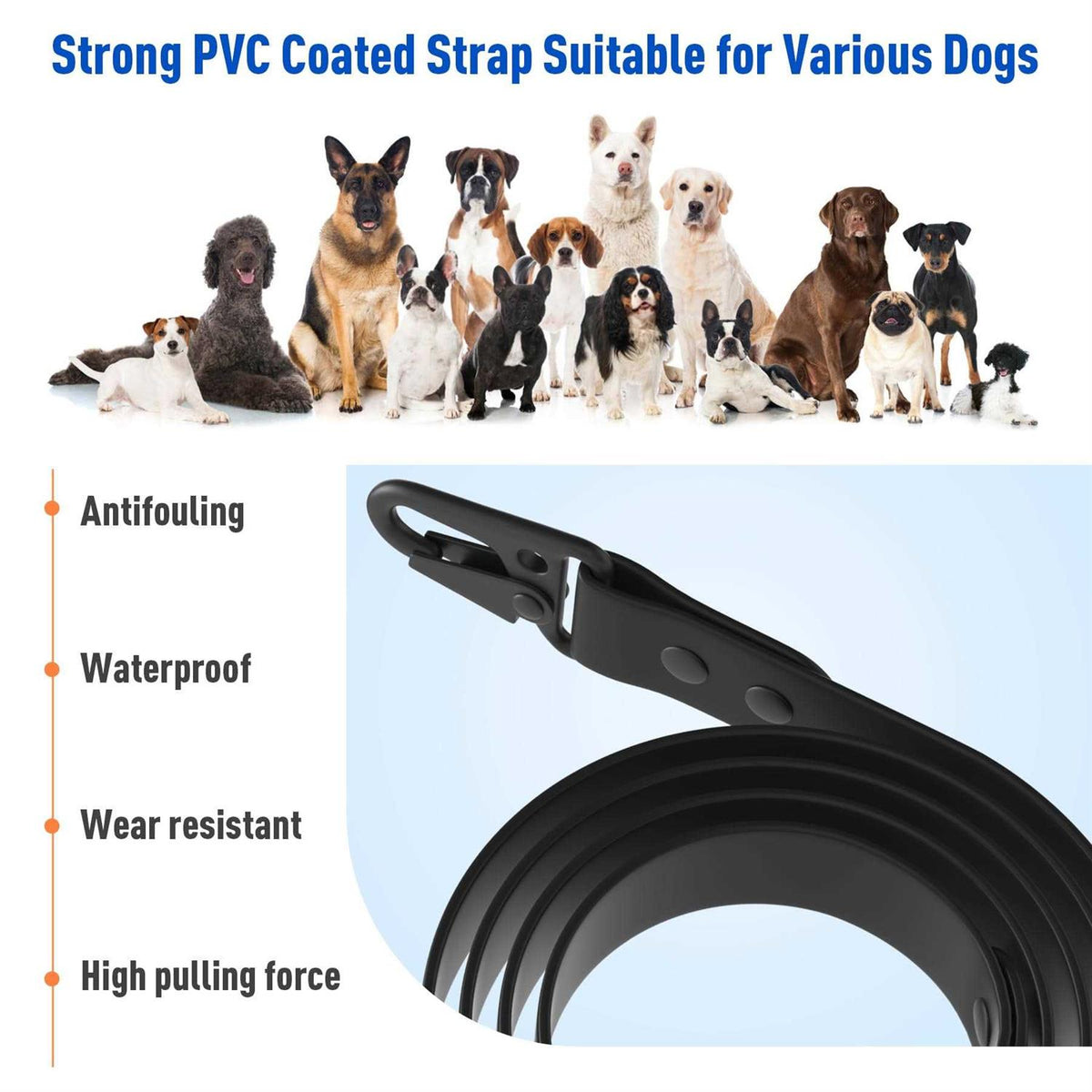 Hands Free Dog Bike Leash for 2 Dogs B722
