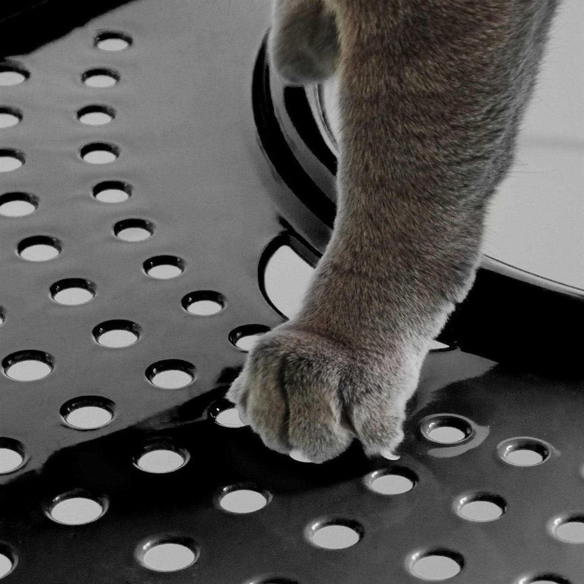 Top Entry Cat Litter Box with Scoop W777606