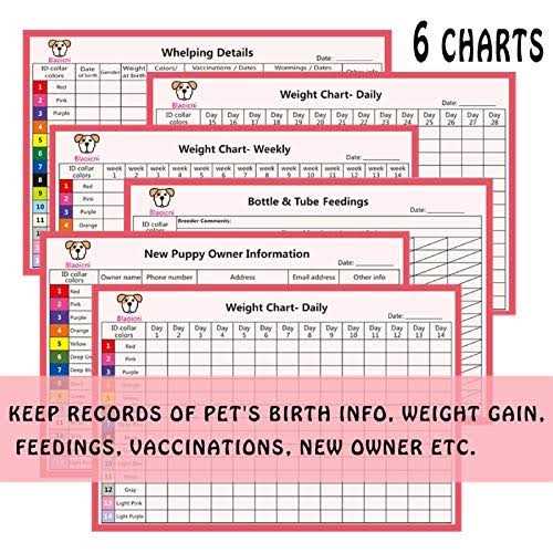 14PCS Soft Nylon Adjustable Breakaway Puppy ID Collar D3891