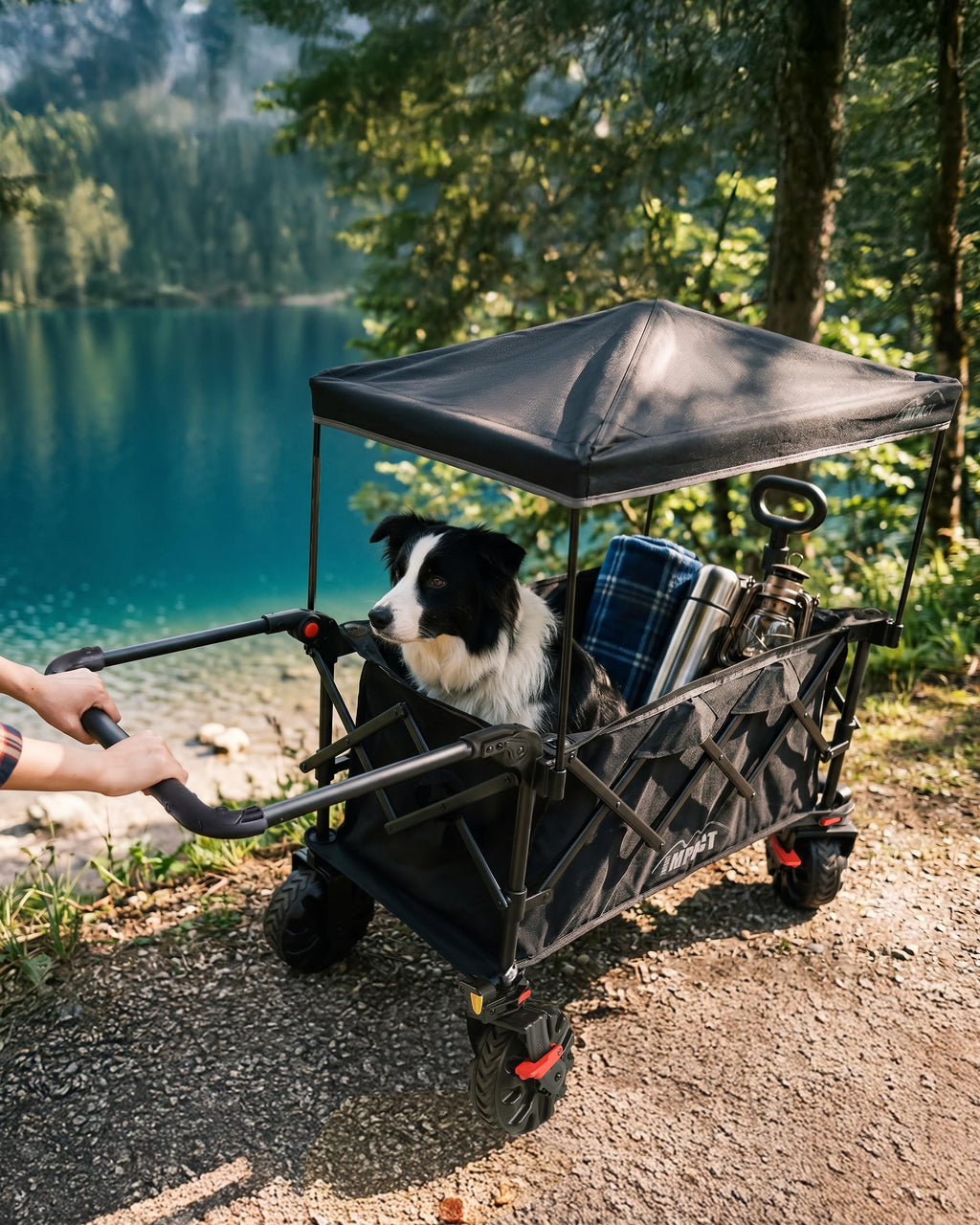 Foldable Push Wagon with Canopy I634