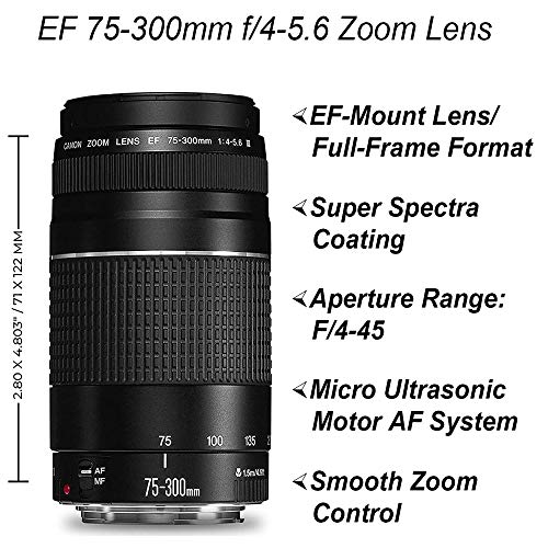 DSLR Camera with 18-55mm + 75-300mm Lenses, 64GB Memory Card, Tripod, Case, Wideangle Lenses A580