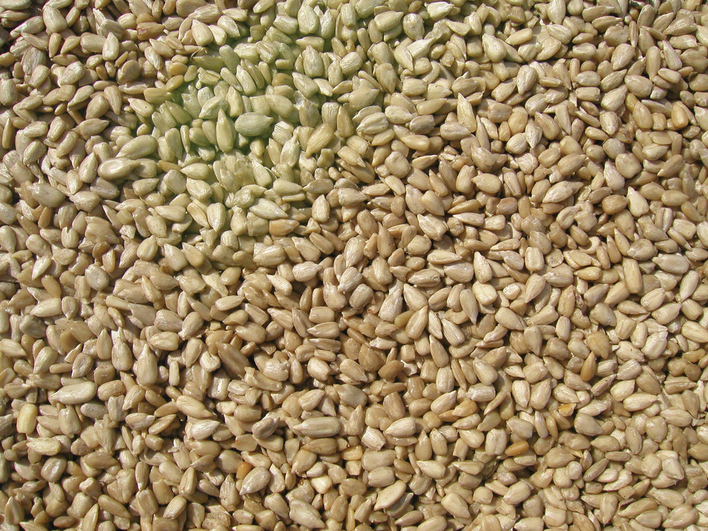 Sunflower Meats Bird Seed 20-Pound L41337