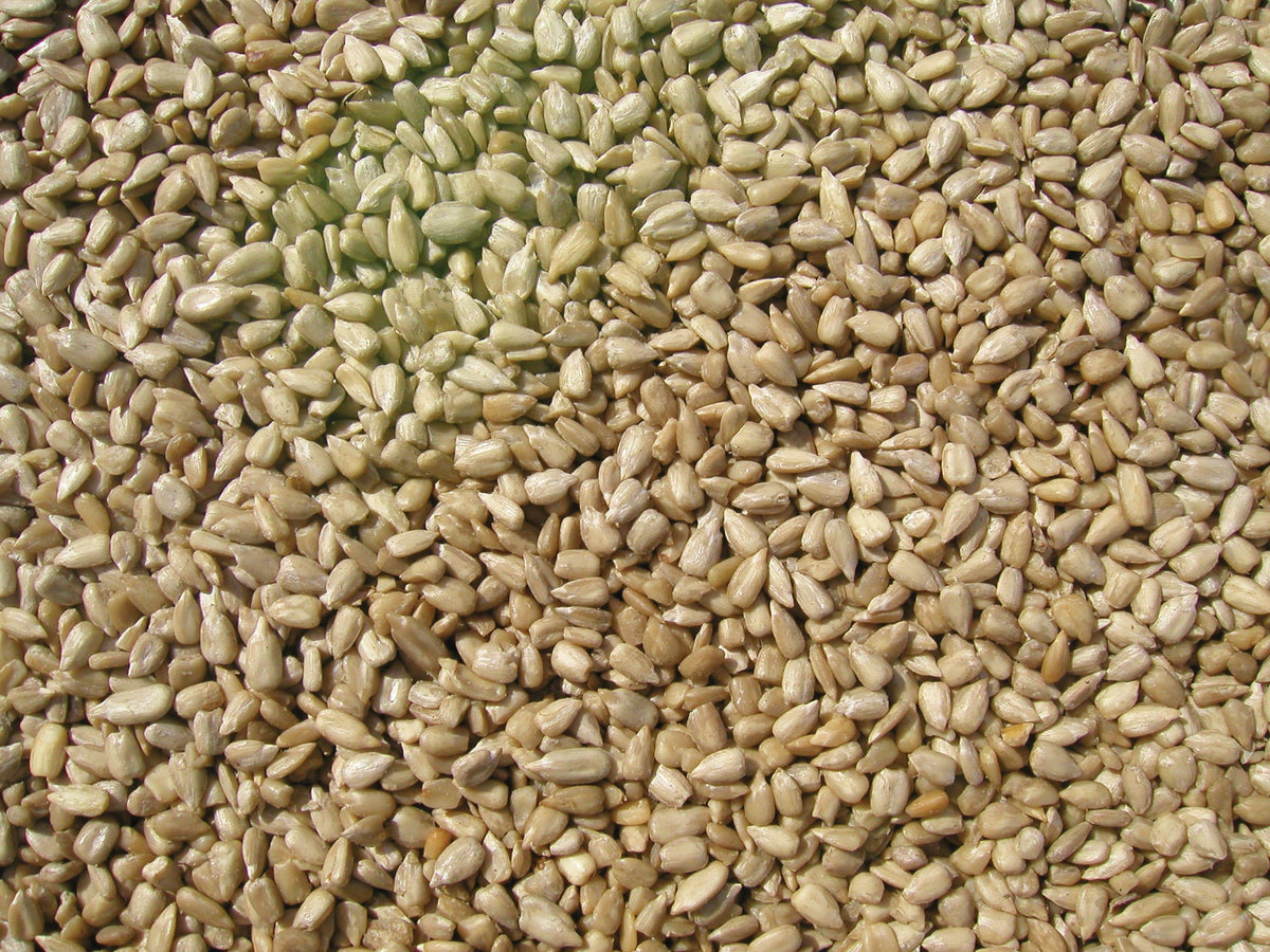 Sunflower Meats Bird Seed 20-Pound L41337