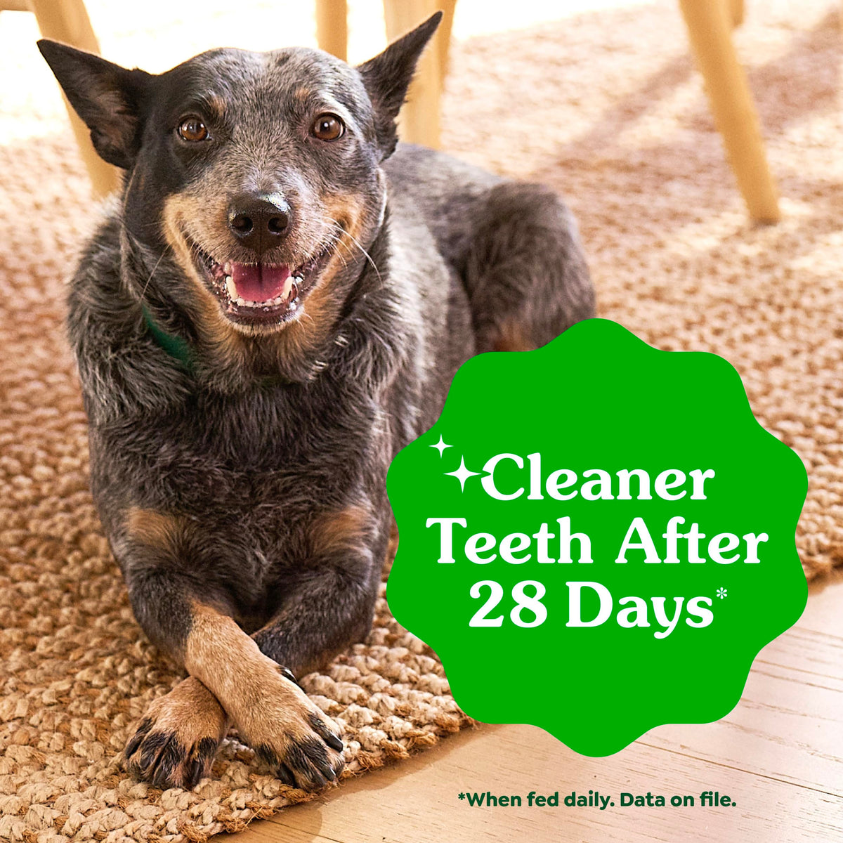 Chicken Dental Dog Treats 43 Count F515