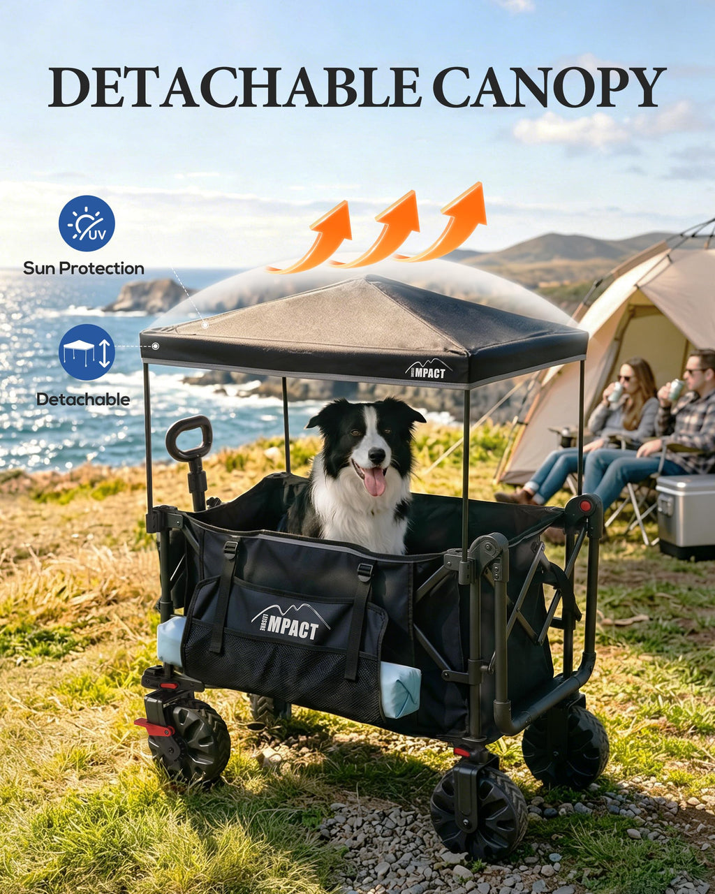 Foldable Push Wagon with Canopy I634