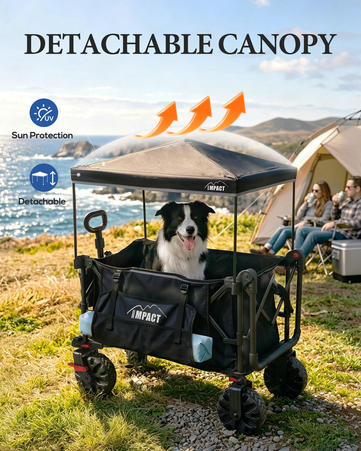 Foldable Push Wagon with Canopy I634