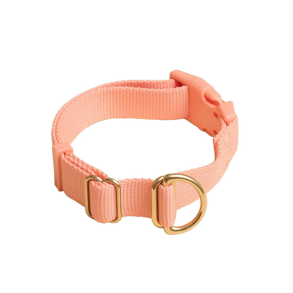 Standard Dog Collar D710