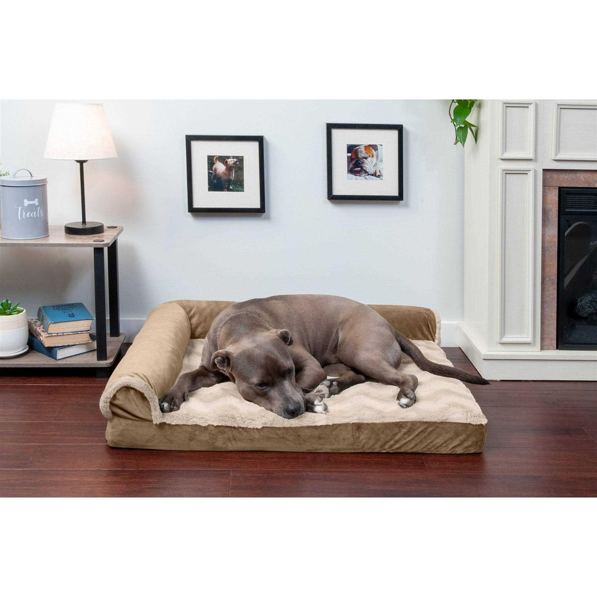 Velvet Chaise Lounge Dog Bed A3594