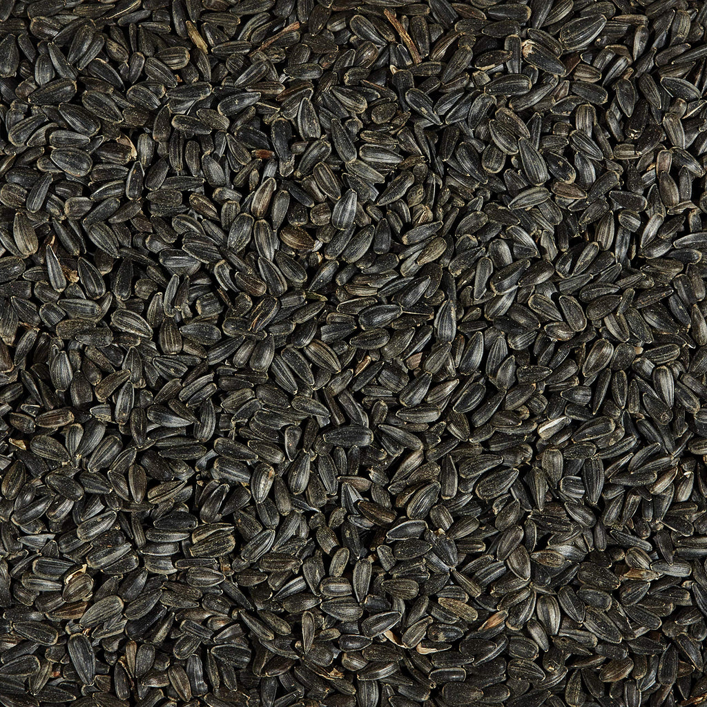 Black Oil Sunflower Wild Bird Food, 20 Pounds M5558