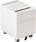2 Drawer Metal File Cabinet with Lock and Casters S72934
