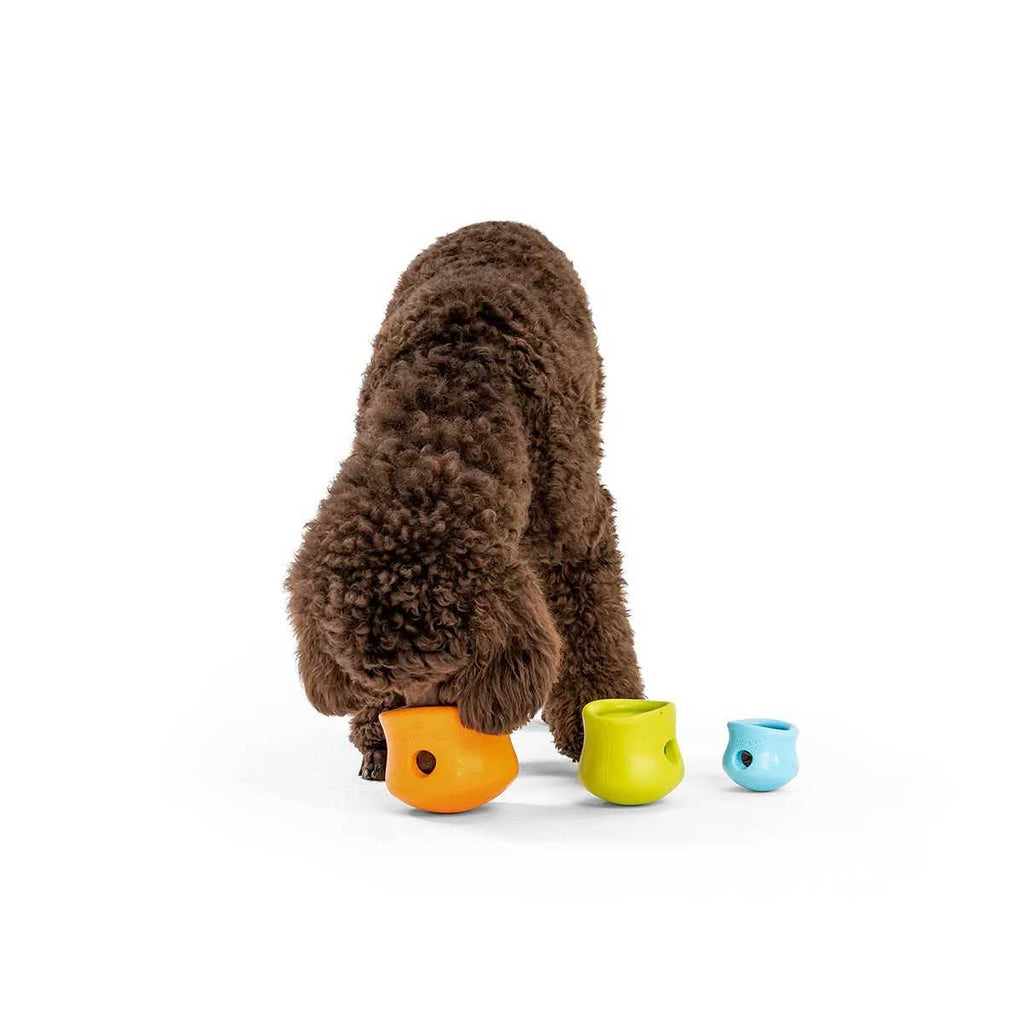 Toppl Dog Toy G982845