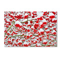 Canvas Art X153