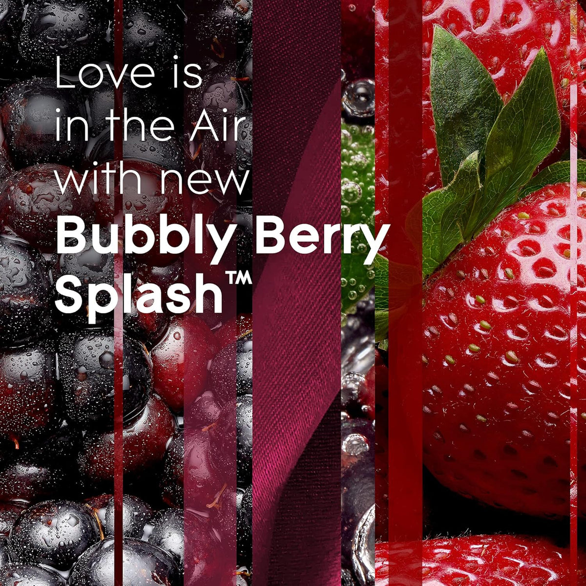Coastal Sunshine Citrus + Bubbly Berry Splash Automatic Spray Air Fresheners H624
