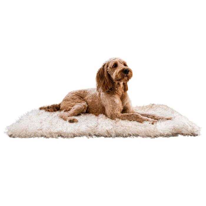 White Portable Orthopedic Dog Bed S6024