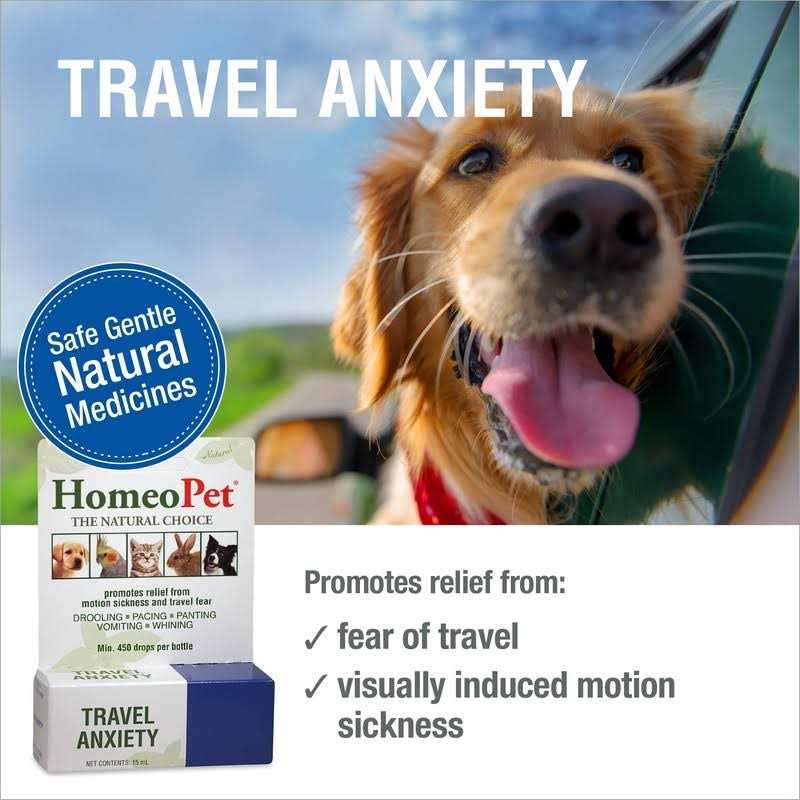 Travel Anxiety N455