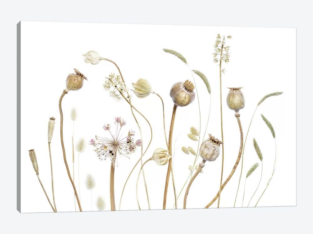 Canvas Wall Decor Prints L1468