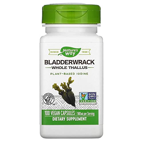 Bladderwrack Whole Thallus 580 mg 100 Count Pack of 2 B800994