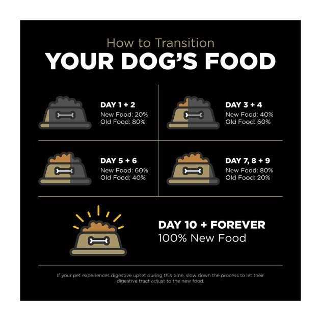 Limited Ingredient Duck Grain-Free Dry Dog Food G902485