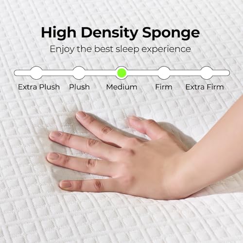 Twin 8 Inch Gel Memory Foam Mattress with Waterproof Protector U553