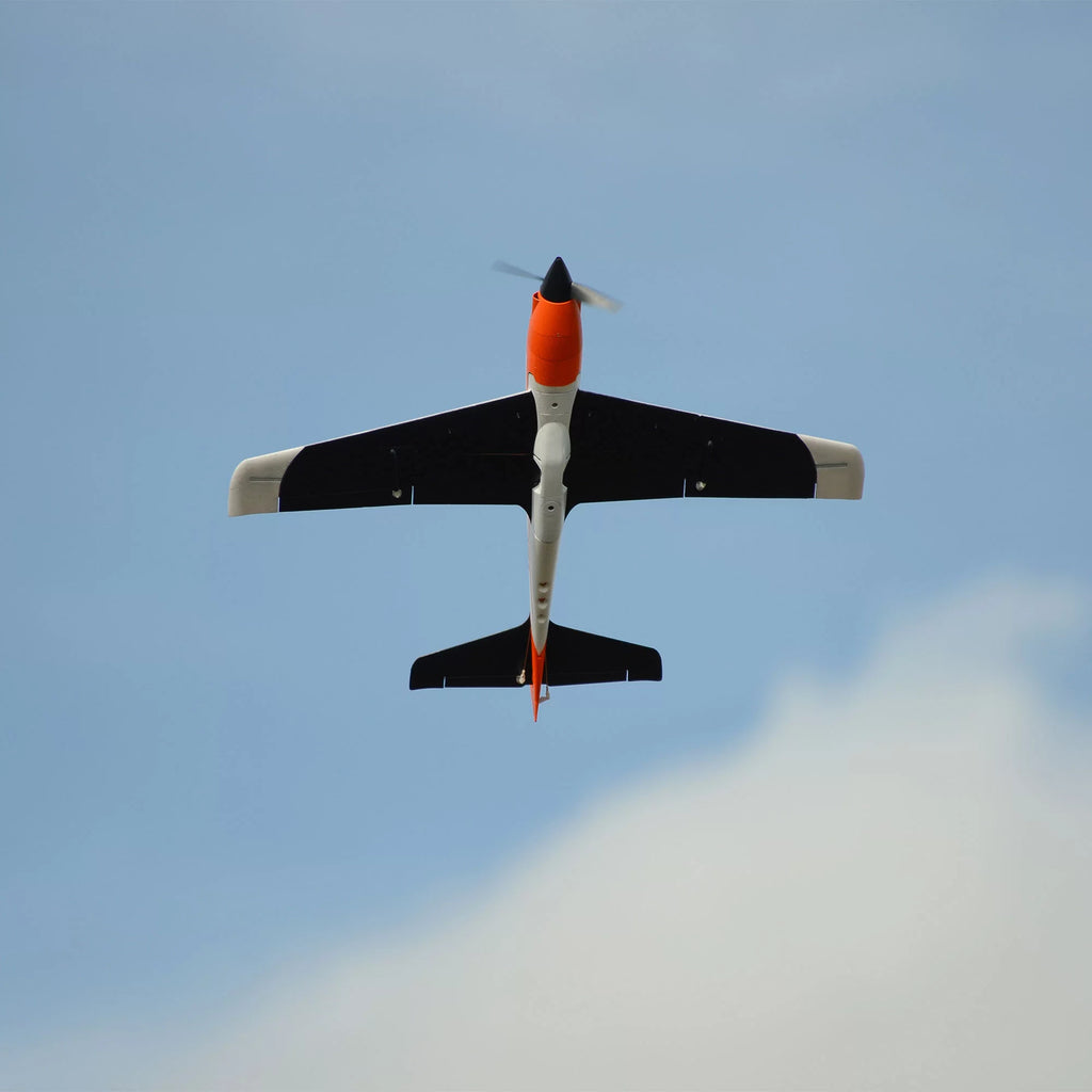 RC Airplane 900mm Electric W22865