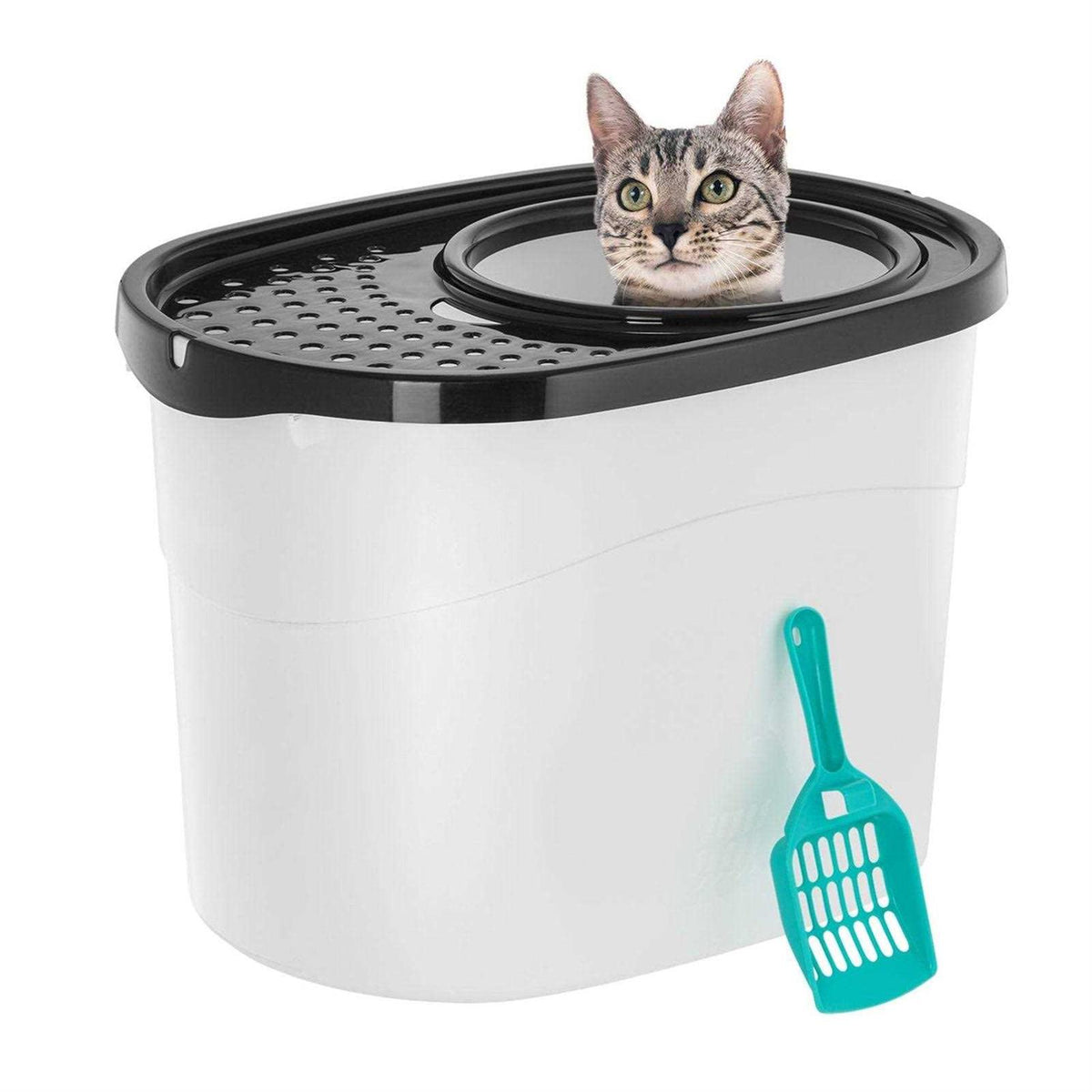 Top Entry Cat Litter Box with Scoop W777606