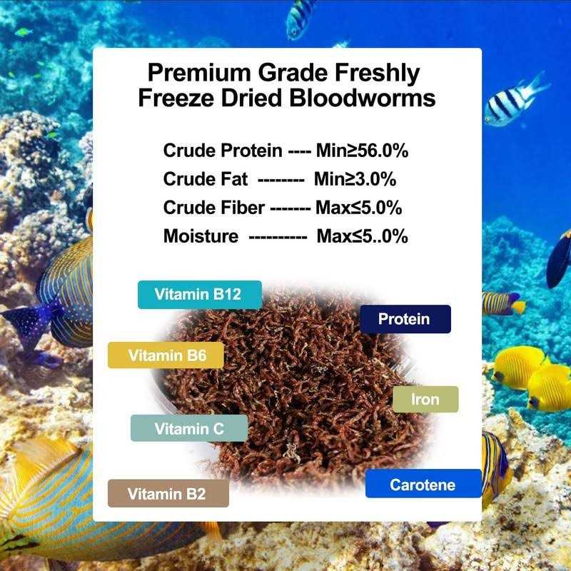 Freeze Dried Blood Worms Fish Food X304833