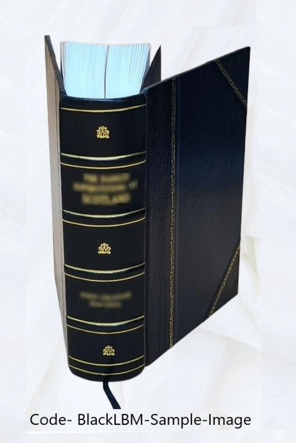 Leather Bound Book Q345766