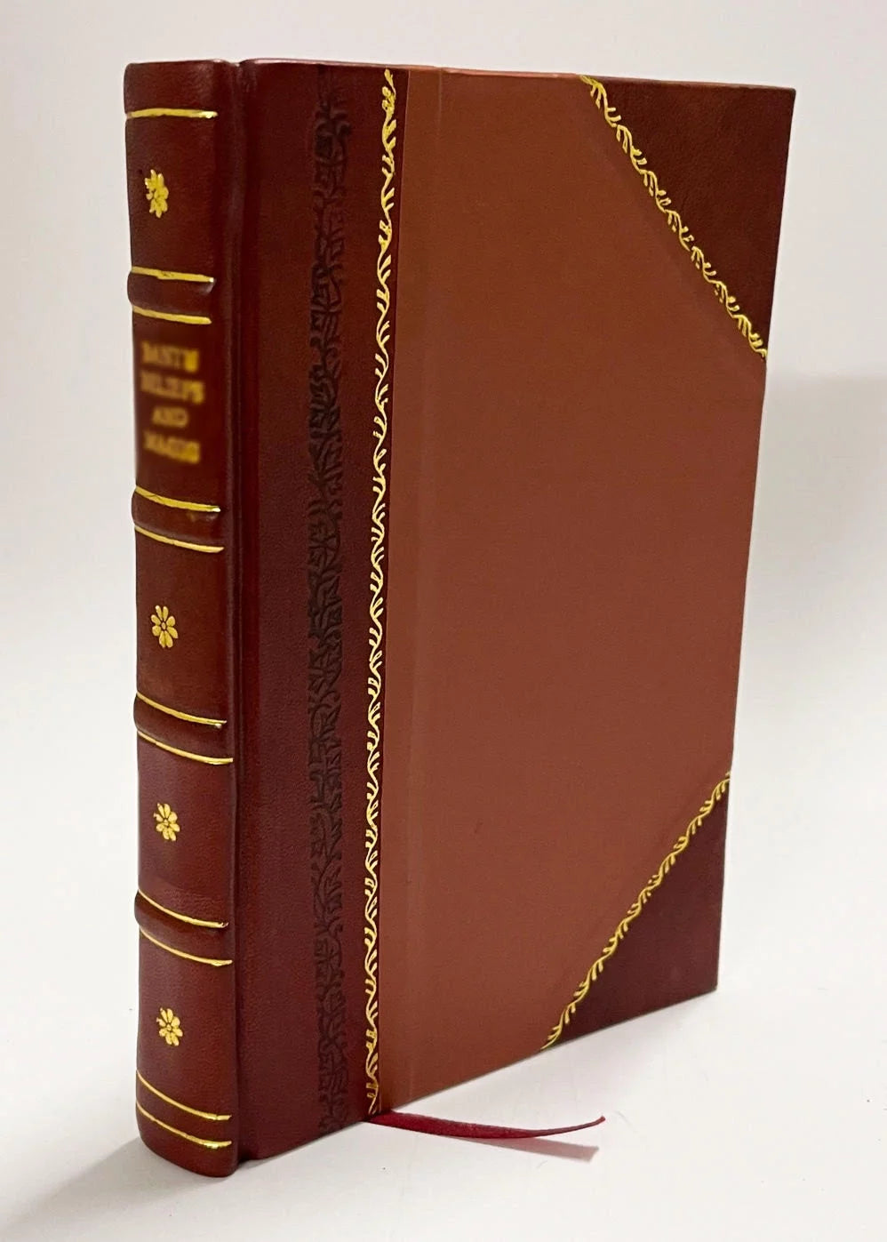 CuriositeS De Paris, De Versailles, Marly, Vincennes, Saint-Cloud, Et Des Environs Volume 1 Leather Bound W41094