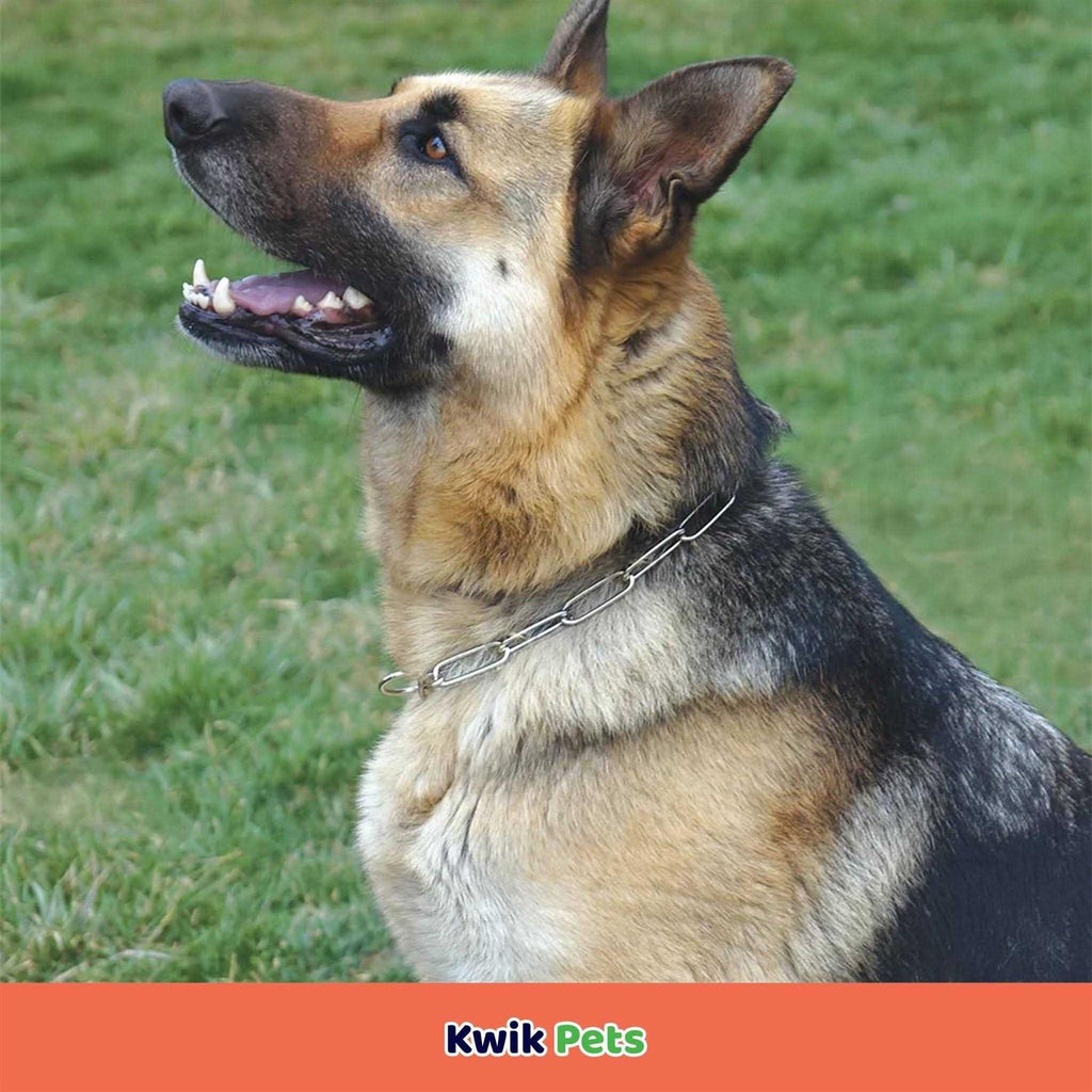 Fur Saver Link Chain Training Dog Collar W943316