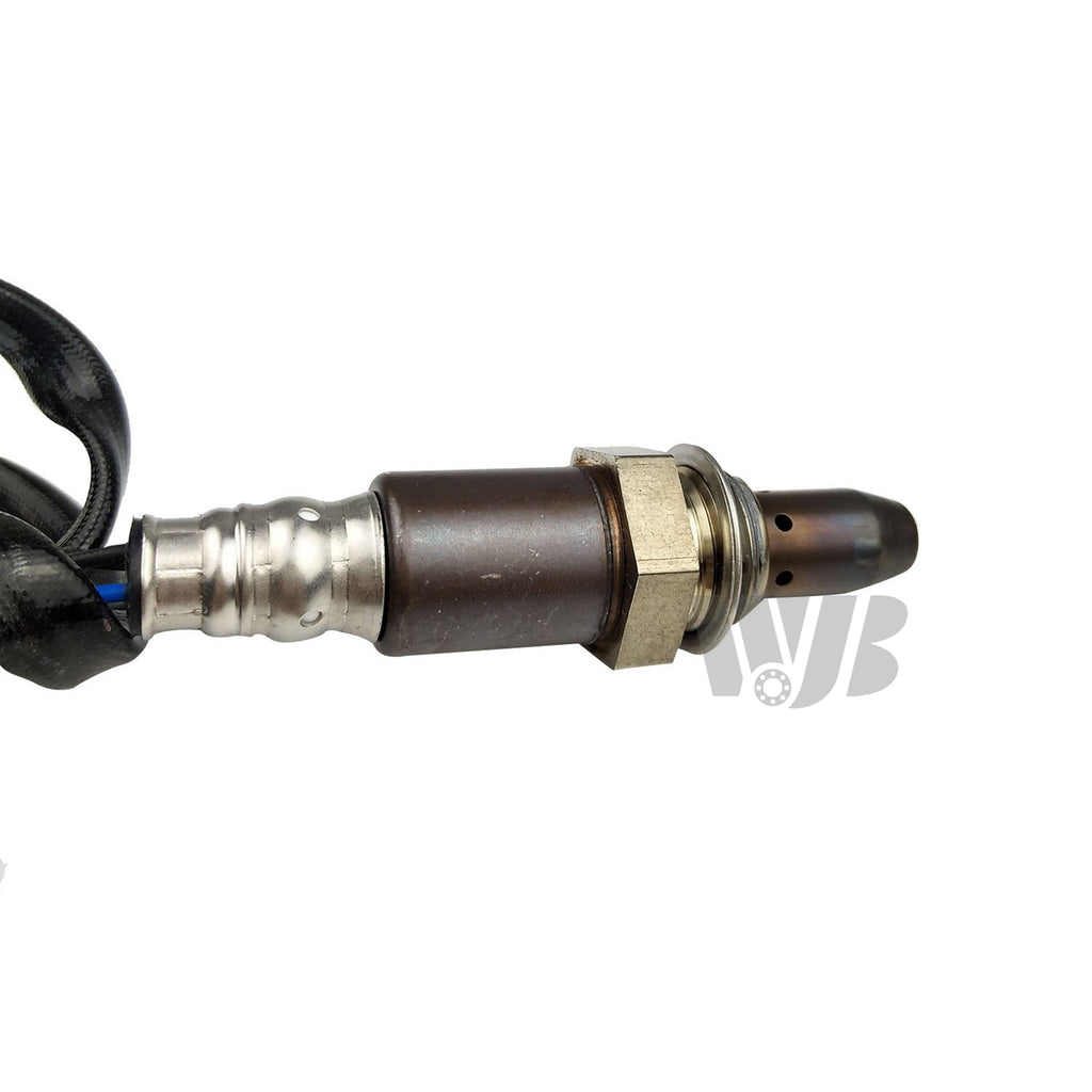 O2 Oxygen Sensor V33905